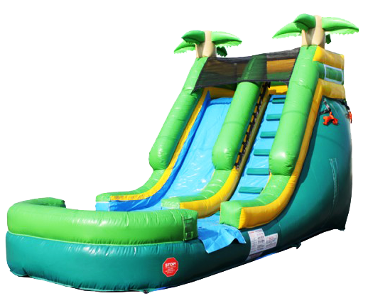 15Paradise Plunge Wet Dry slide